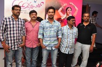 Saradaga Ammaitho Successmeet